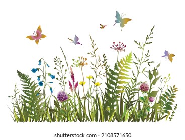 Part of colorful spring floral field. Wildflowers. Meadow herbs and butterflies. Vector illustration.