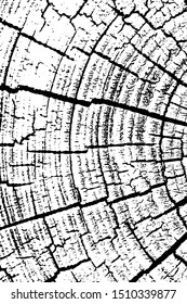 Part of a cut tree with annual rings and cracks. Vertical monochrome background of natural dry slice of wood. Overlay template. Vector illustration