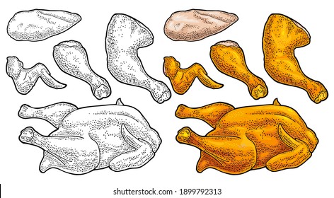 Part cutting of roasted chicken - whole, leg, wing and breast halves. Vintage vector color engraving illustration. Isolated on white background. Hand drawn design element for label and poster