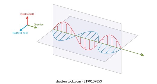 part of the electromagnetic wave. the electric and magnetic fields.