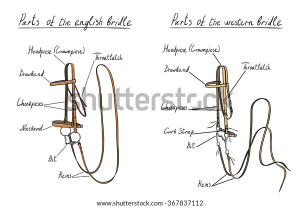 english riding tack