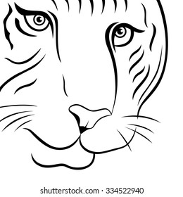 Part of funny tiger face, hand drawing vector outline on a white background