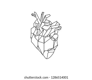 Part of human body
