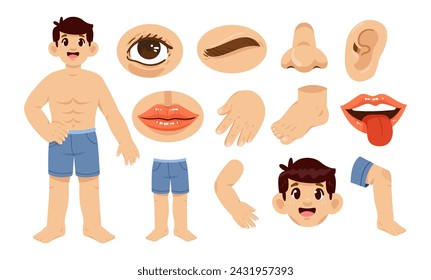 Parte del conjunto de ilustración vectorial de elemento de cuerpo humano