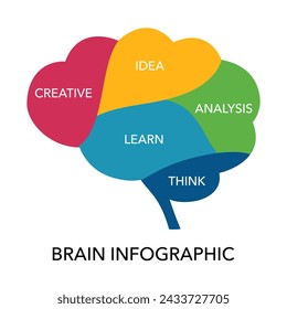 Parte del cerebro humano. Concepto de Infografía Cerebral.