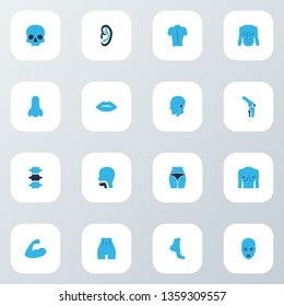 Part icons colored set with chest, face, ear and other buttocks elements. Isolated vector illustration part icons.