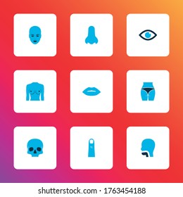 Part icons colored set with eye, breast, lips and other boob elements. Isolated vector illustration part icons.