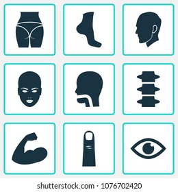 Part icons set with finger, head, foot and other backbone elements. Isolated vector illustration part icons.