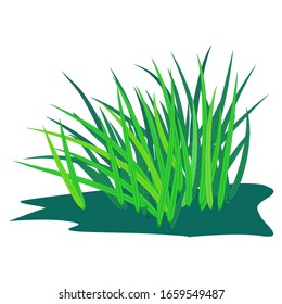 A part of plant, grass and leave