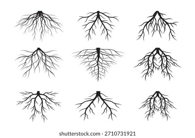 Part of plants. Set of black tree roots. Vector illustration. 