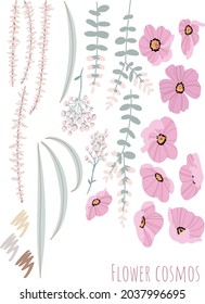 It is part set of plants used in the illustrations of Swag lease of the cosmos.