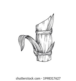 Parte de la planta de caña de azúcar con hojas. Planta de agricultura tropical, edulcorante orgánico natural para alimentos. Ilustración vectorial en un estilo grabado aislado en blanco.