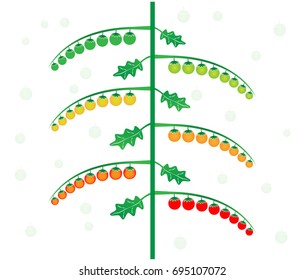 part of Tomato plant - Illustration
Food, Fruit, Ingredient, Plant, Tomato,