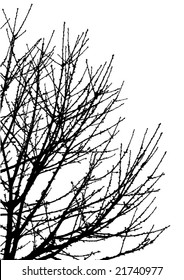 part of tree crown - vector