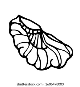 part of a walnut core, an element of a decorative ornament or pattern, vector illustration with black contour lines isolated on a white background in a Doodle and hand drawn style
