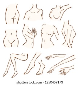 Woman Body Parts Pictures With Names : : Take a game twister and stick