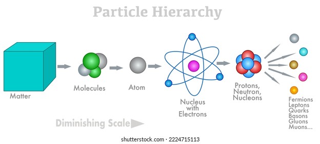 Partikelhierarchie. Wichtig für Quarks. Infografik der Atom-Struktur mit abnehmender Skala. Moleküle, Elektron, Neutronen, Hadron, Proton. Modell der nuklearen Anatomie. Fermionen, Lepton, Quark, Gluonen, Maultiere. Vektorgrafik