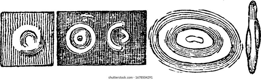 A particle of human blood as it appears when transparent and floating; 2. the same, seen as illuminated; 3. the same, one half illuminated; and other, vintage line drawing or engraving illustration.