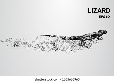 A particle lizard. The lizard consists of circles and dots. The lizard splits into molecules.
