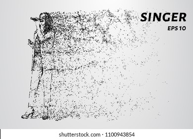 Particle singer. The singer consists of circles and dots