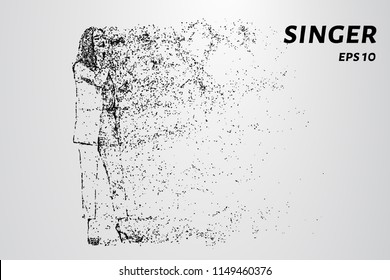 Particle singer. The singer consists of circles and dots