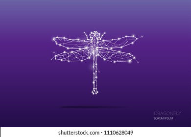The particles, geometric art, line and dot of dragonfly.
abstract vector illustration. graphic design concept of nature.
- line stroke weight editable