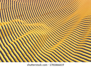 Partikel strömen. Abstrakter Hintergrund mit trendigen Farbverläufen. 3D-Vektorgrafik für Werbung, Marketing oder Präsentation.