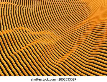 Particles stream. Abstract background with trendy gradients. 3d vector illustration for advertising, marketing or presentation.