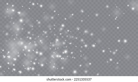 Partículas de polvo mágico blanco. Partículas brillantes de luz. Partículas brillantes de Navidad. Efecto ligero sobre un fondo transparente