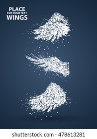 Particles of Wings set, vector illustration