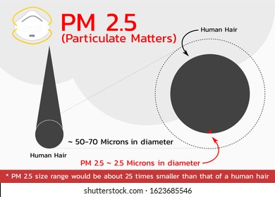 Particulate Matter 2.5 Microns , vector