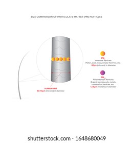 Particulate Matter PM2.5 and PM10. Inhalable Airborne Particles in Comparison to Hair Size. Vector Illustration. EPS10 with layers. Easy to edit.