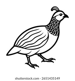 Un oiseau perdrix avec des plumes détaillées, une crête distinctive animal aviaire