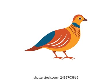 Partridge bird image vector image illustration 