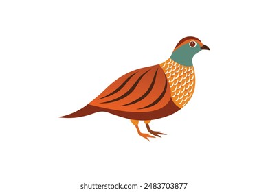 Partridge bird image vector image illustration 