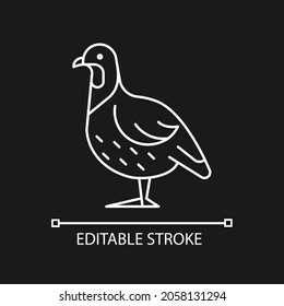 Partridge linear icon for dark theme. Small domestic fowl. Grey landfowl breed. Livestock husbandry. Thin line customizable illustration. Isolated vector contour symbol for night mode. Editable stroke