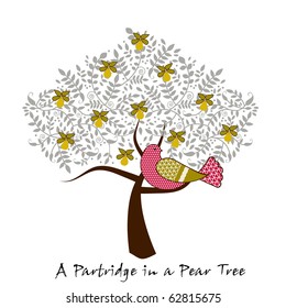 partridge  in a pear tree - 12 days of Christmas