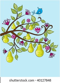 Partridge In A Pear Tree