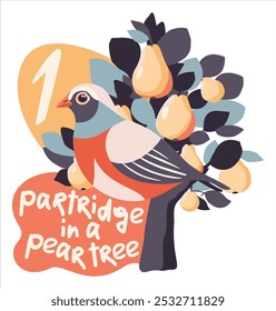 Partridge in a pear tree. The twelve days of Christmas. English Christmas carol. First day. Vector isolated illustration.