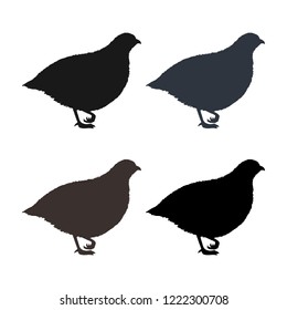Partridge silhouettes. Isolated on background. Vector. Eps 10.