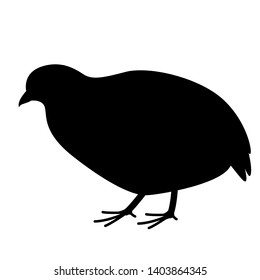 Partridge,  Vector Illustration, Black Silhouette