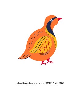 partridge vector illustration. hand-drawn stylized  ground bird