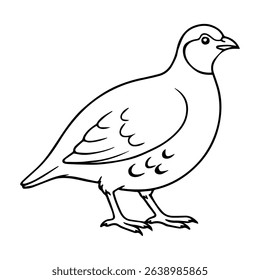 partridge vector realistic line icon on white background
Vector line icon animal, wildlife