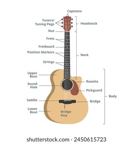 Parts of an acoustic guitar chart vector illustration. Guitar anatomy infographic. Guitar parts. Headstock, neck, fretboard, frets, strings, tuning pegs, sound hole, pickguard. Guitar vector design