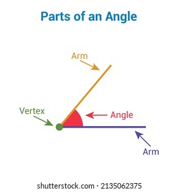 Parts of an angle in mathematics