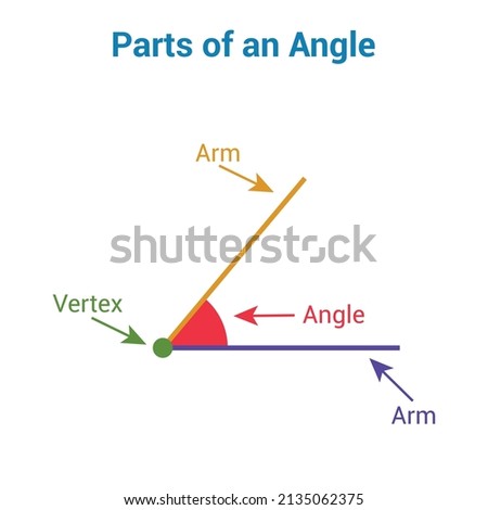 Parts of an angle in mathematics