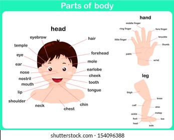 Parts of body