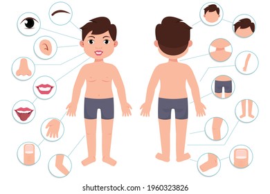 Parts of the body. Boy body front view and rear view. Vector illustration of Human Body. 