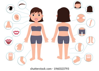 Parts of the body. Girl body front view and rear view. Vector illustration of Human Body. 