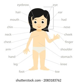 1,417 Body Parts And Names Images, Stock Photos & Vectors | Shutterstock